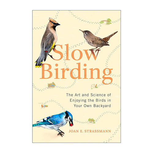 英文原版 Slow Birding 慢观鸟 在自家后院赏鸟的艺术和科学 观鸟指南 Joan Strassmann 精装 英文版 进口英语原版书籍