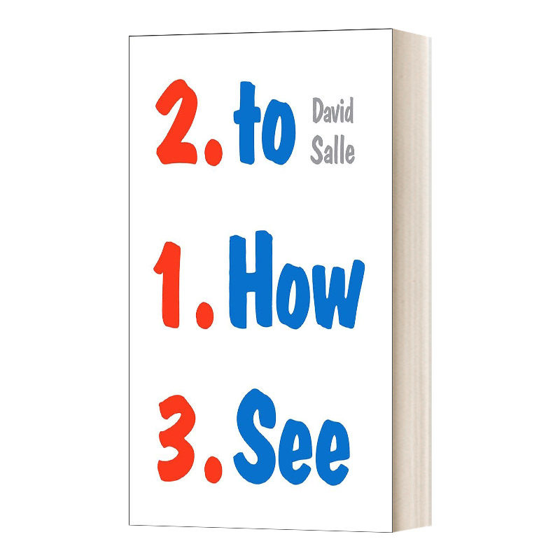 英文原版 How to See 如何观看 关于艺术的看 说 思 艺术家观点 带你看懂作品 大卫·萨利 英文版 进口英语原版书籍