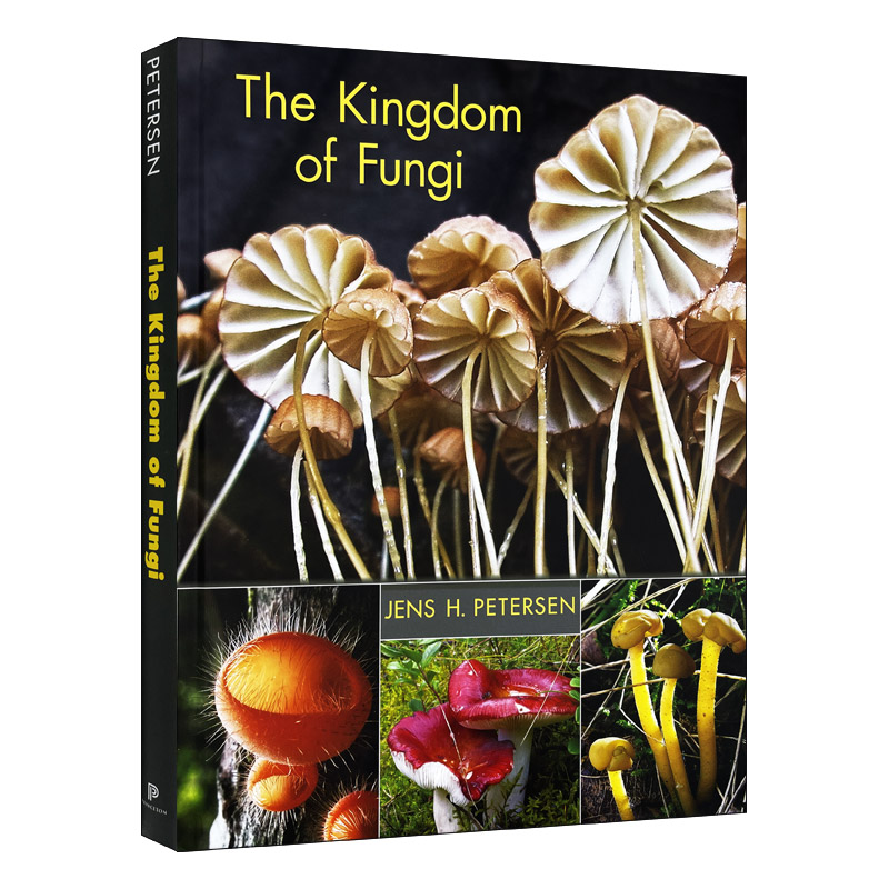 The Kingdom of Fungi 真菌王国 精装进口原版英文书籍