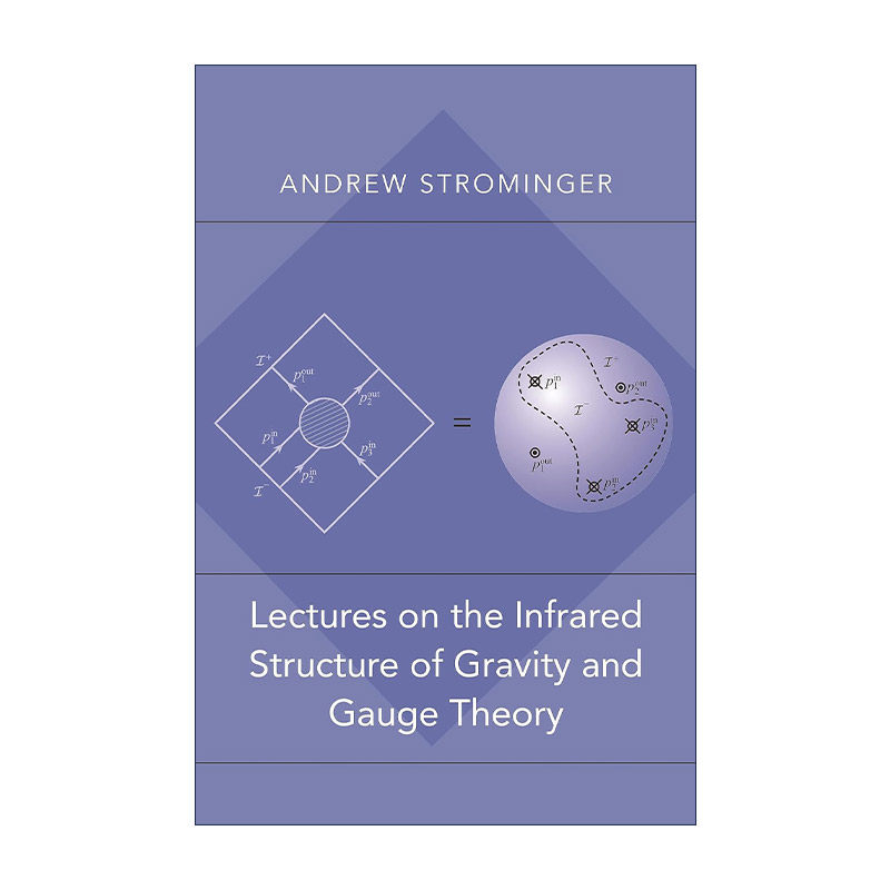英文原版 Lectures on the Infrared Structure of Gravity and Gauge Theory 重力红外结构与规范场论讲座 哈佛大学物理学教授