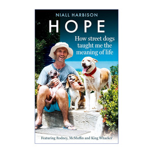 Hope 希望 流浪狗教会我的人生意义 Niall Harbison 拯救流浪狗之旅进口原版英文书籍