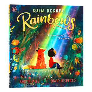 彩虹前 英文书籍 Rain Rainbows David Litchfield进口原版 插画师 Before 雨