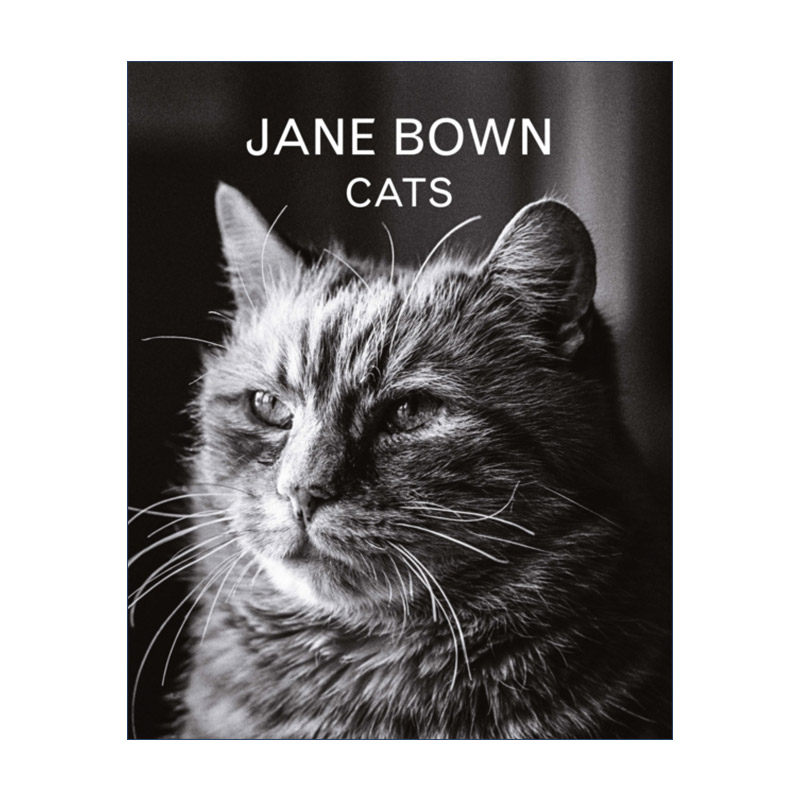 英文原版 Jane Bown Cats 简 ·鲍恩猫咪摄影 百幅黑白猫咪肖像 猫咪爱好者的精装摄影书 英文版 进口英语原版书籍