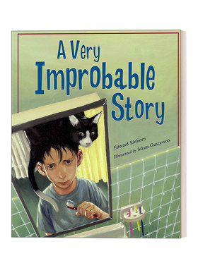 英文原版 A Very Improbable Story 一个可能性很小的故事 概率问题 7-10岁数学探险故事 理解数学概念 英文版 进口英语原版书籍