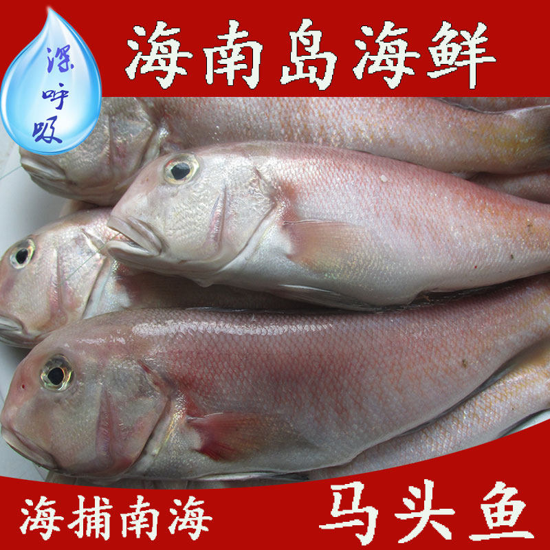 海南海鲜/深海野生鲜活海鱼马头鱼/斧头鱼/方头鱼三亚海鲜包邮