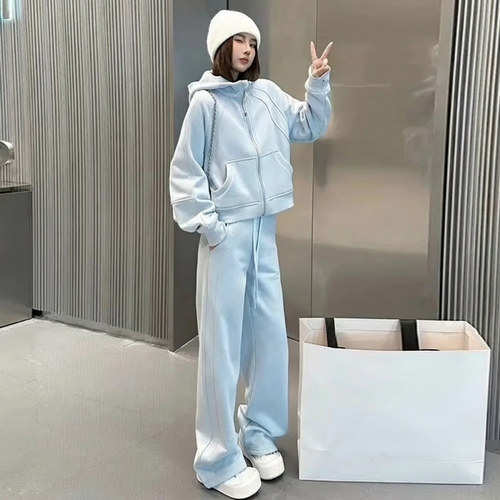 高级感休闲运动套装女秋冬季韩系一整套穿搭连帽加绒卫衣两件套