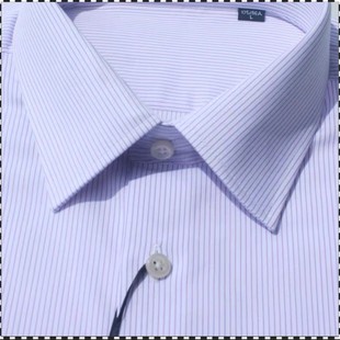 2024早稻田夏秋新款天丝棉清新蓝色男短袖商务修身免烫透气衬衫