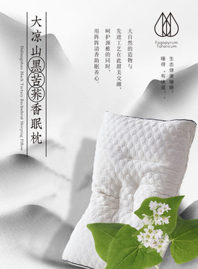 简未大凉山荞麦枕头护脊椎