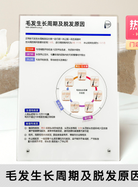 头皮知识亚克力高颜值毛发生长周期与脱发原因等级亚克力立牌