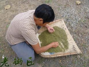 河南山领地绿豆 农家 毛绿豆