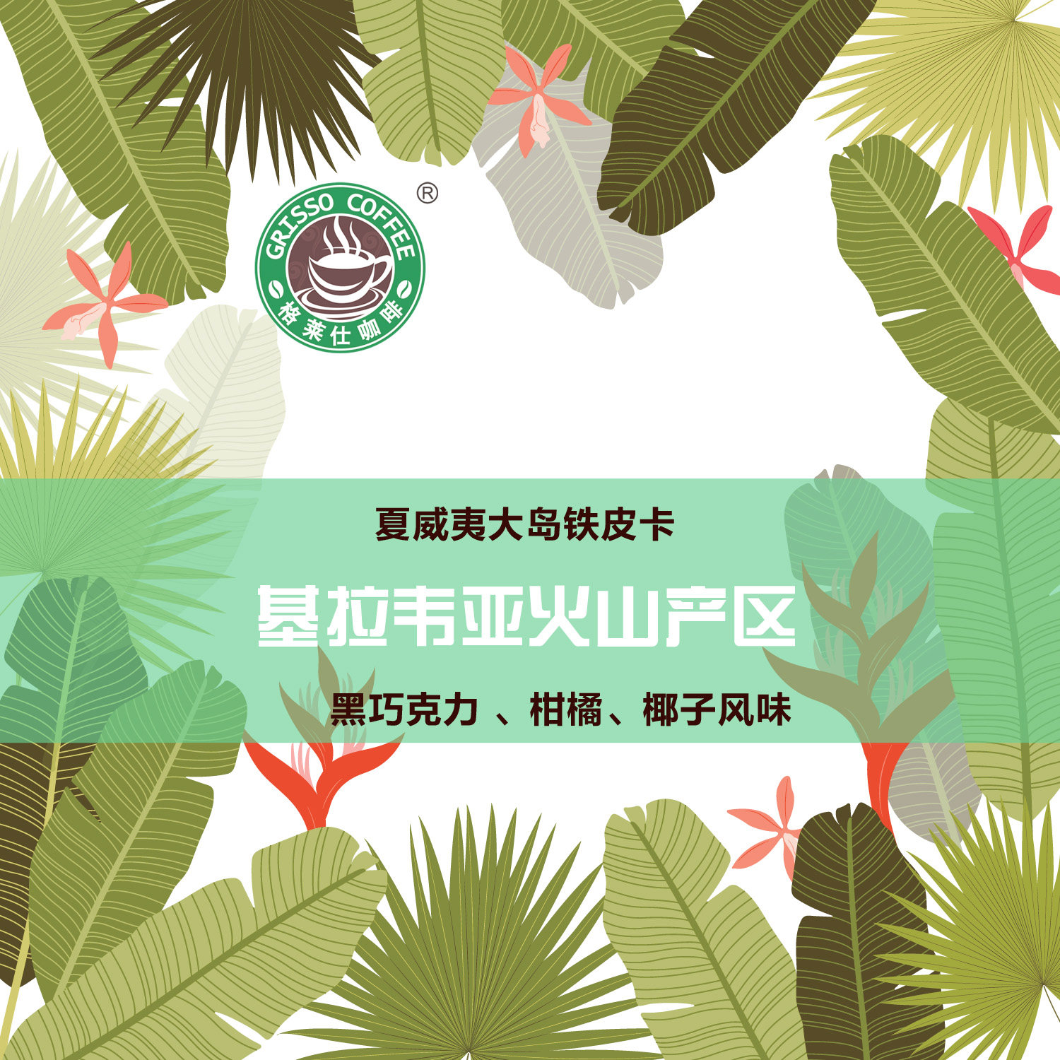 格莱仕夏威夷大岛咖雾区铁皮卡生豆基拉韦亚精品豆手冲咖啡1kg