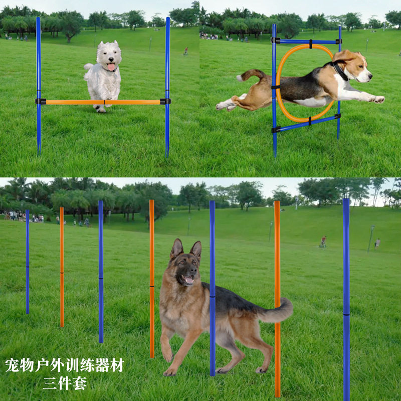 宠物狗狗跳环障碍杆狗狗训练灵敏度跳杆狗狗户外运动器材跳圈