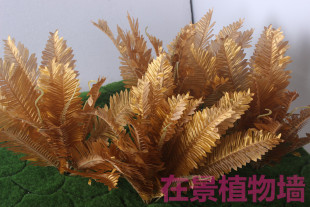 仿真金色波斯叶绿色波斯叶仿真植物叶花墙植物墙植背景墙装 饰绿植