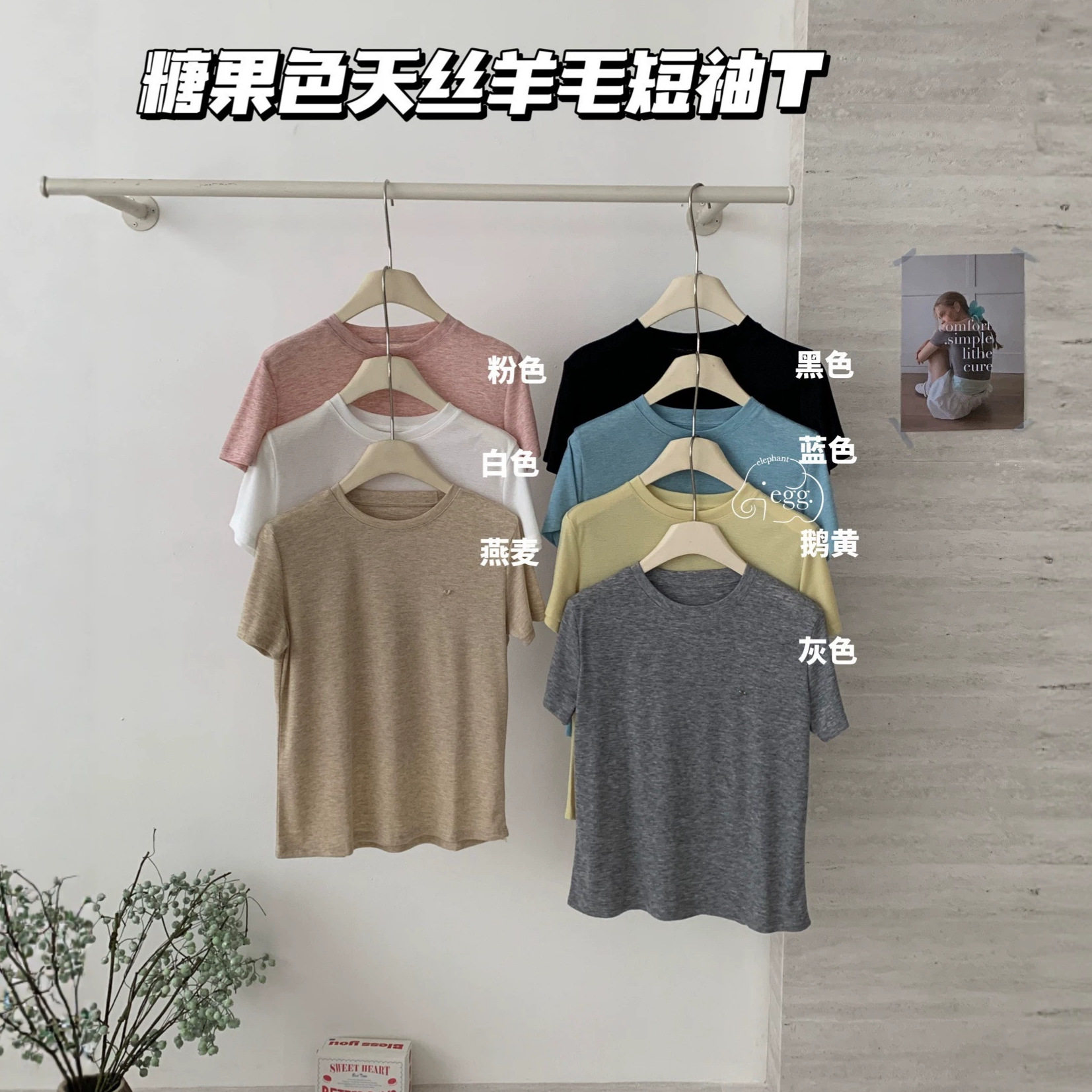 egg糖果色天丝羊毛短袖上衣韩系圆领百搭正肩修身清爽夏季T恤衫女