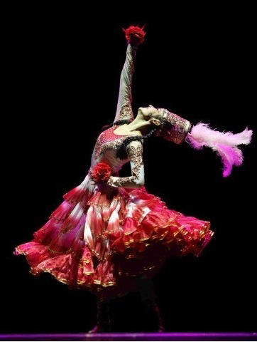 鲜花 舞蹈演出服装原版定做桃李杯参赛艺考剧目订做定制