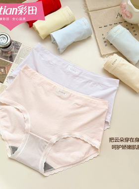 三条装彩田15315棉莫少女字母腰头蕾丝花边腿围7A石墨烯抑菌内裤