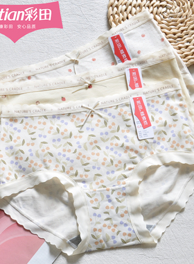 三条装彩田内裤15802碎花印花字母花边女中腰石墨烯抑菌10A棉莫