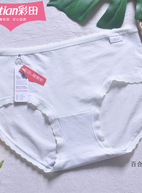 彩田15312纯色中腰女内裤棉莫蕾丝花边三角裤7A石墨烯可爱抑菌