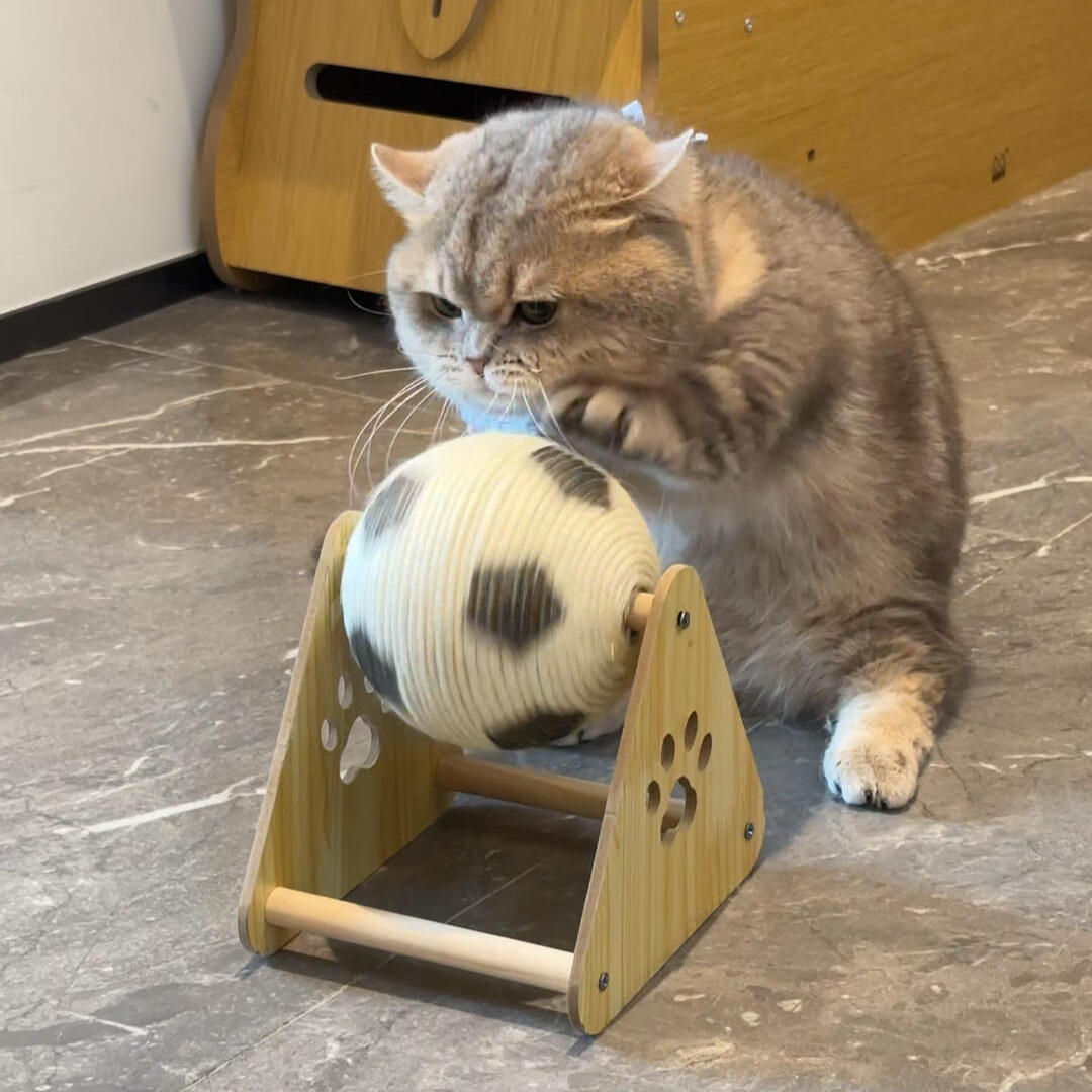 猫抓板猫爬架一体耐磨不掉屑宠物玩具猫爬架猫抓球麻绳磨爪自嗨