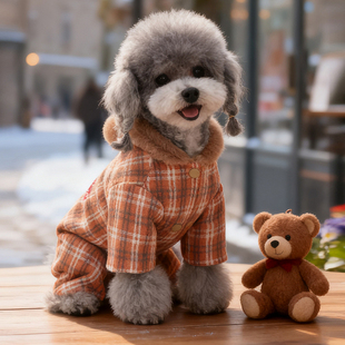 可挂牵引绳泰迪比熊加绒保暖四脚衣马尔济斯约克夏雪纳瑞连体棉衣
