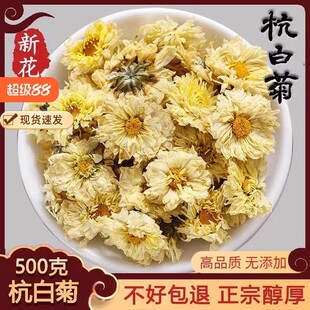 菊花茶杭白菊500g花桐乡特级正宗杭菊杭州贡菊胎菊正品
