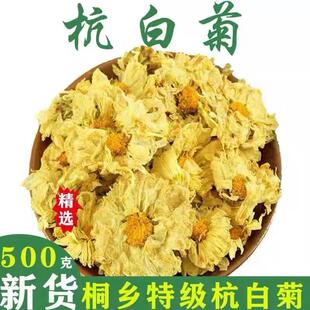 菊花茶杭白菊桐乡特级正宗杭菊杭州白菊花茶贡菊黄菊500g正品新花