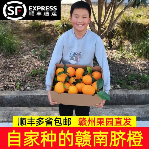 【顺丰包邮】赣南脐橙新鲜橙子