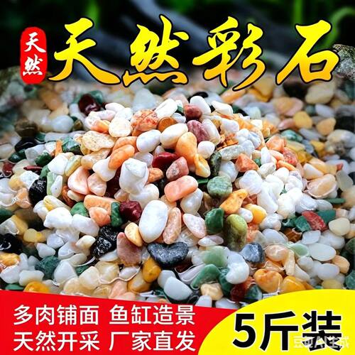 天然五彩色小石头水培郁金香垫底养花石子多肉铺面石鱼缸造景底砂