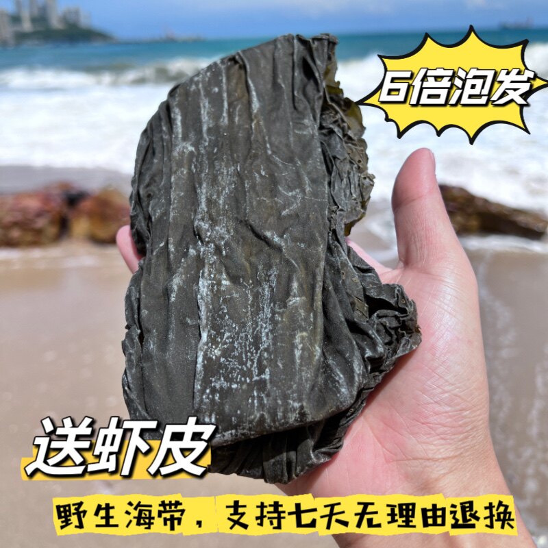 南澳岛新鲜干海带日晒海带干货昆布商用厚海带丝头片煲汤凉拌炒菜