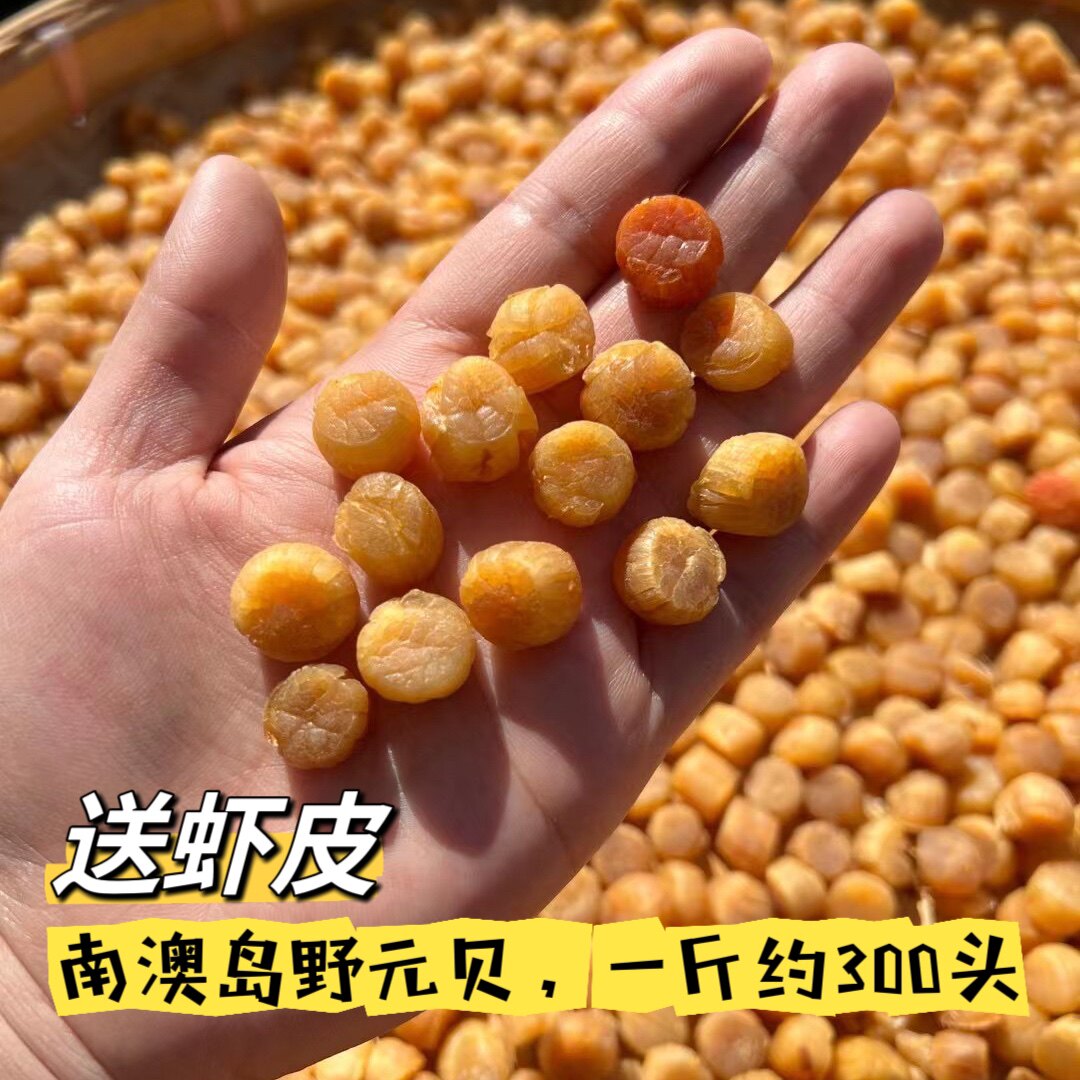 南澳岛精选野元贝瑶柱干贝干货淡干扇贝无添盐非宝宝辅食水产干货