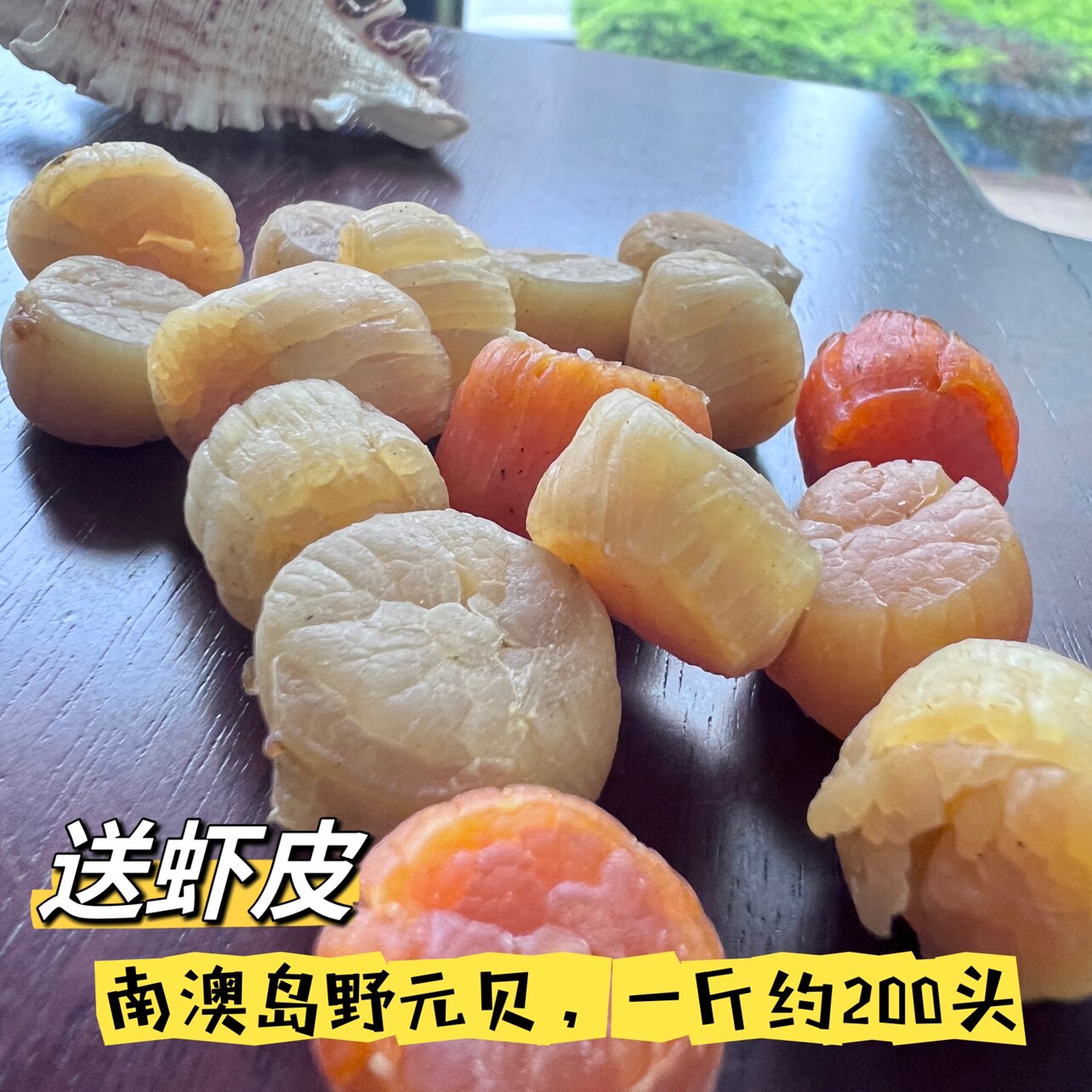 南澳岛野大连元贝瑶柱干贝干货500g淡干扇贝无添盐非宝宝辅食干货