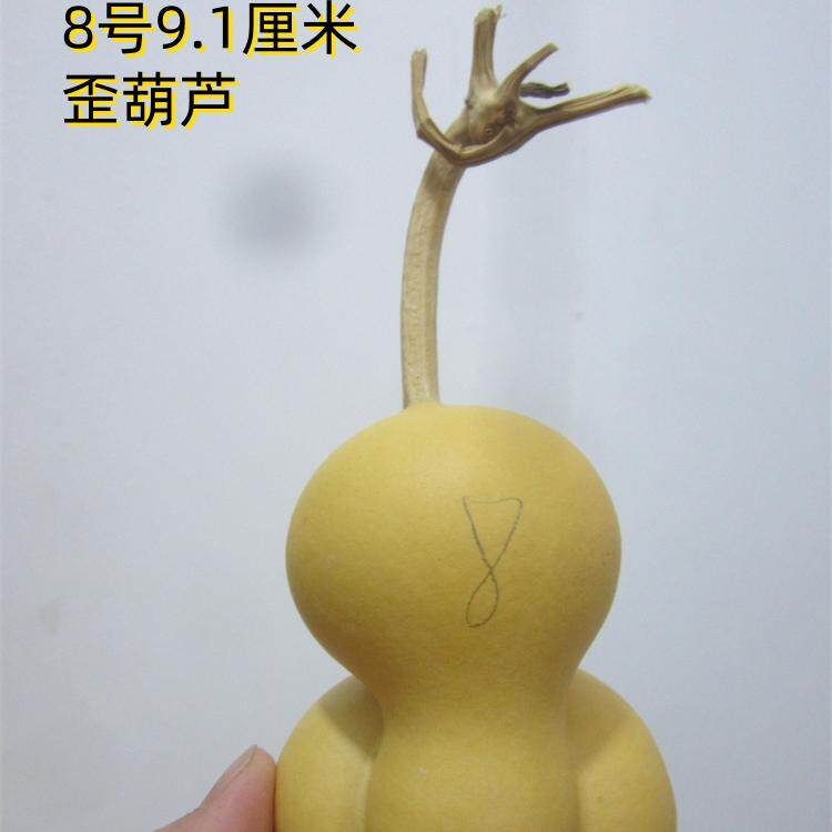 天然异形勒扎小葫芦招财金蟾葫芦金蝉青蛙文玩把玩收藏品现货1-51