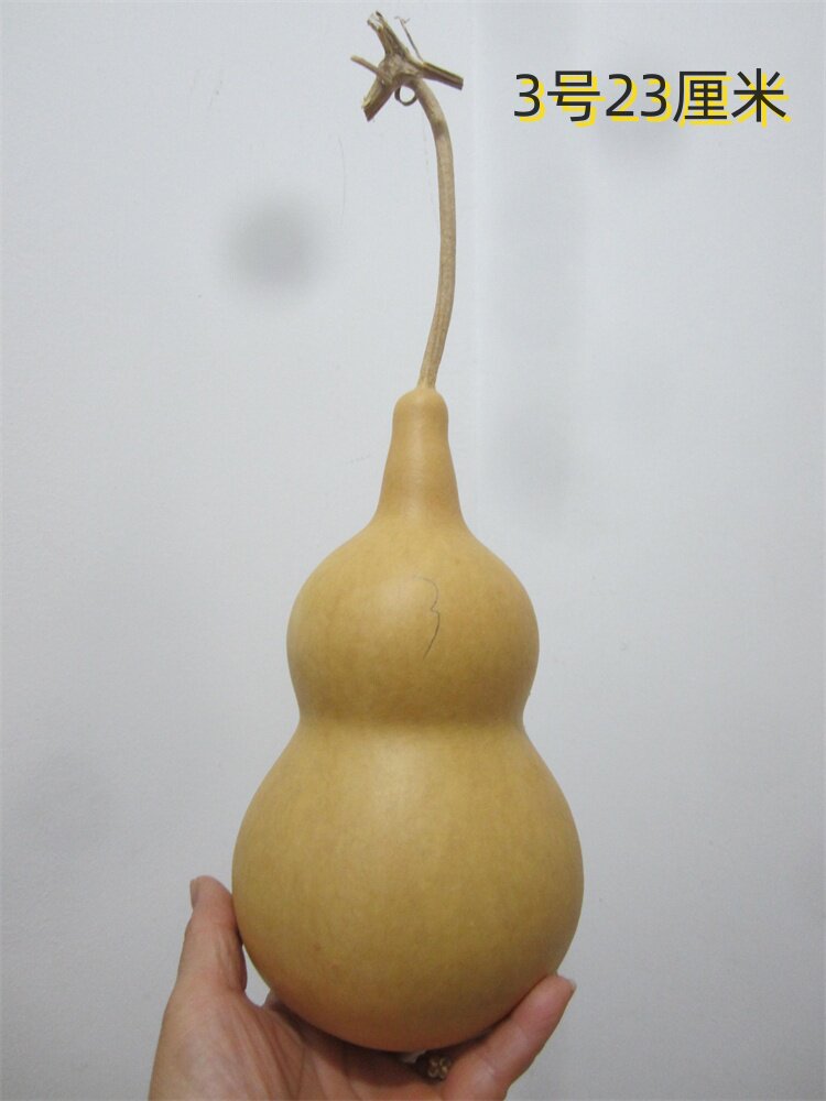 天然异形陈年粗腰胖墩葫芦保定墩摆件把玩烙画原料实物图现货1-5