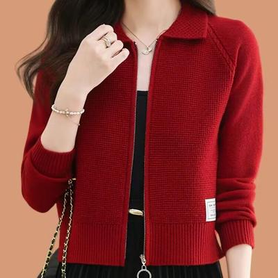 2025年新款针织衫外套女士秋冬