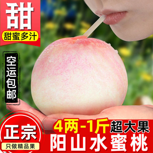 无锡阳山水蜜桃新鲜水果桃子