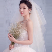 Champagne double veil wedding new Korean simple multi-layer white versatile bride short plain yarn headdress