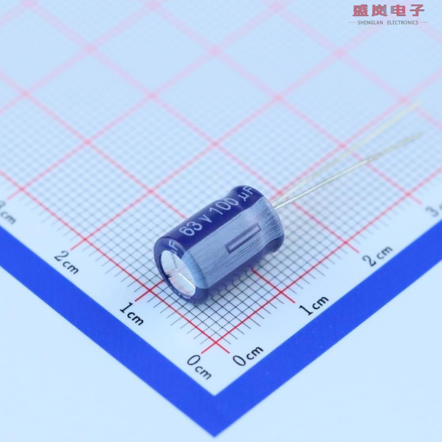 原装正品ERF1JM101F12OT[100uF 20% 63V]