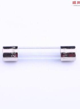 原装正品6G.1000210000S1[一次性保险丝250V 1A]