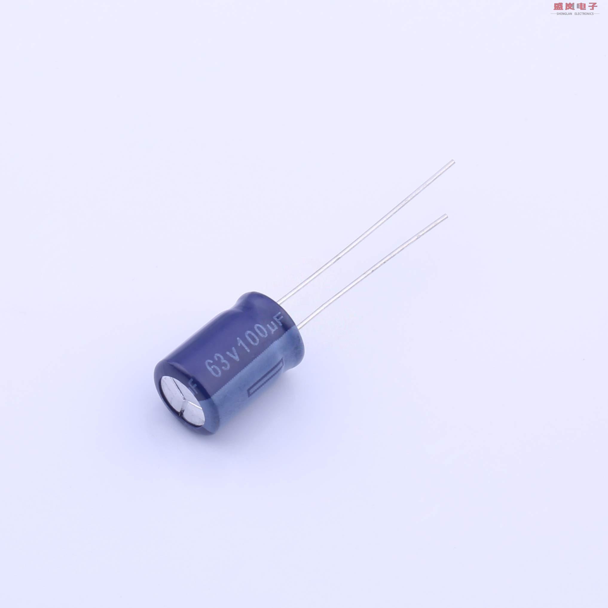 原装正品ERS1JM101F12OT[直插铝电解电容 20% - 63V -