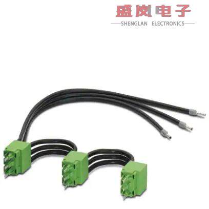 原装正品2900748[LOOP BRIDGE]