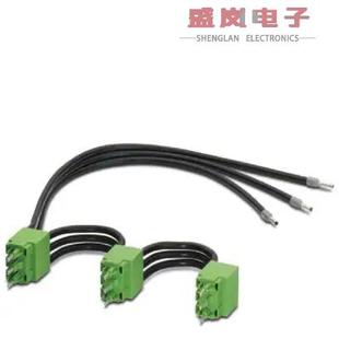 BRIDGE 原装 LOOP 2900748 正品