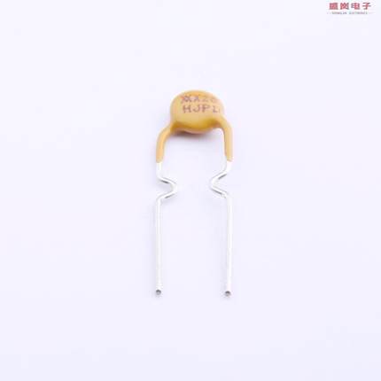 原装正品RF2564-000[0.2A 72V 可恢复保险丝]