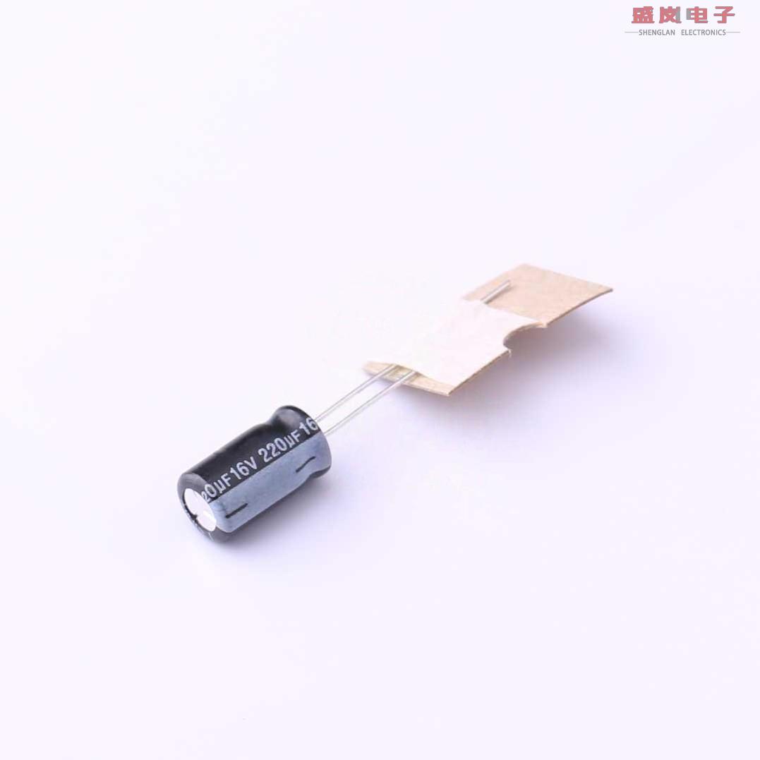 原装正品RGA221M1CSA-0611G[直插铝电解电容 20% 16V 2