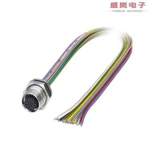 CBL 17POS 1.64 正品 WIRE 1419739 原装 FMALE