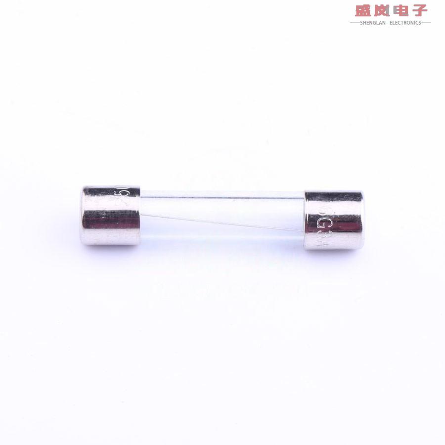 原装正品6G.3000210000S1[一次性保险丝250V 3A]
