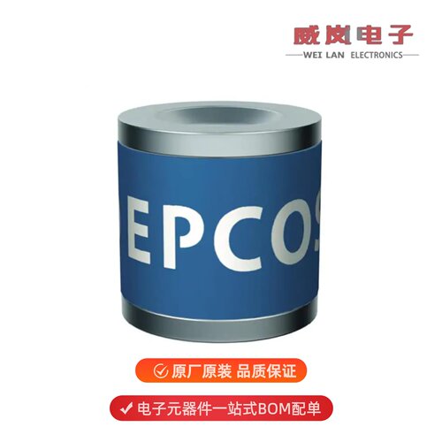 B88069X1590C253|B88069X1620T602|B88069X1630T602原装