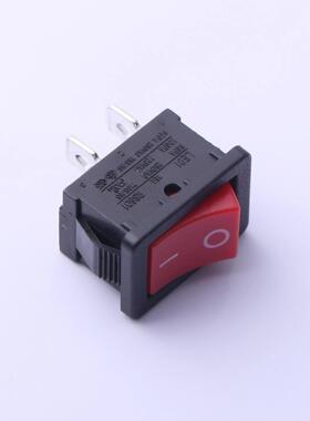 原装正品RS601A-1010011R3B[船型 250V 6A]