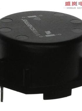 原装正品RN152-8-02-2M7[CMC 2.7MH 8A 2LN TH]