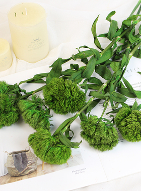 干花真花绿毛球永生花装饰绿色小清新文艺插花装饰摆设软装绿石竹