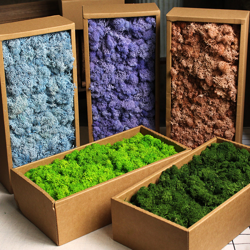 永生苔藓花诉盒装diy手工配材